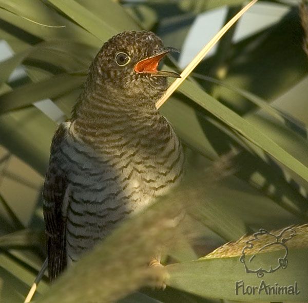 С женской логикой о народных приметах