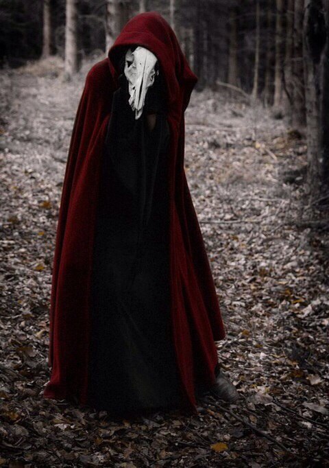 Жизнь дурака