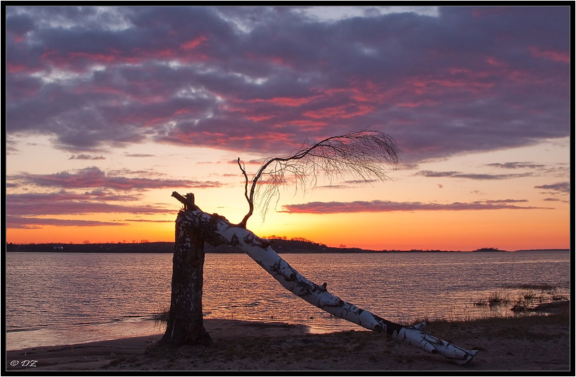 Мысленно пройдусь я по судьбе