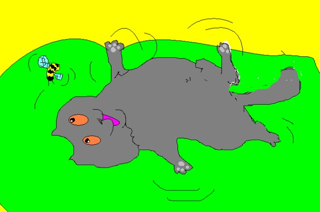 Валючий кот