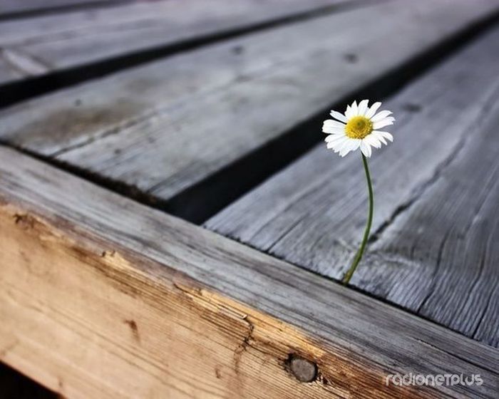 Мы все зависим от признаний