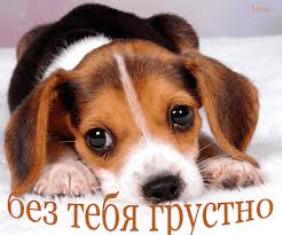 Январь становится летом...