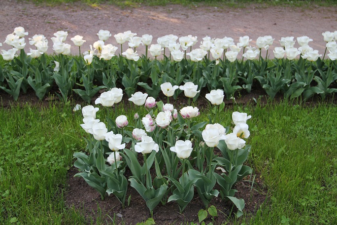 Божественной Любовью мы полны