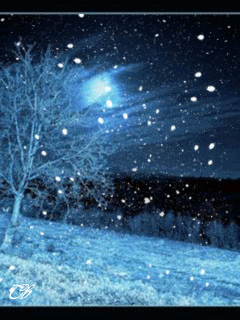 Перед побегом