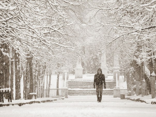 По Бродскому