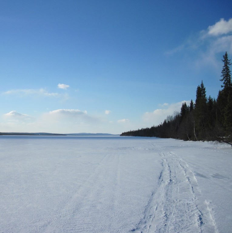 Здравствуй, солнце!