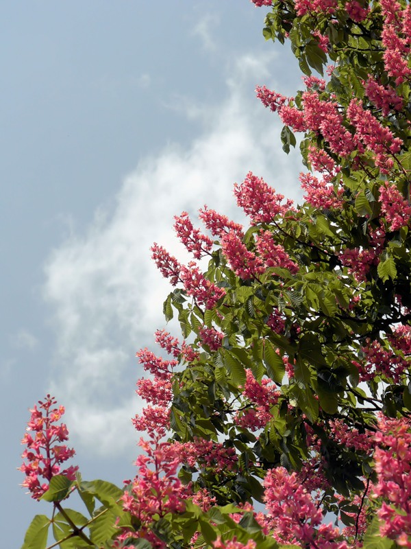 Первая любовь...