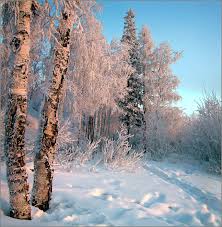 В даль заветная верста