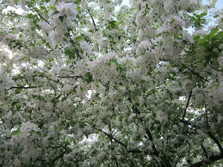 16 лет одиночества