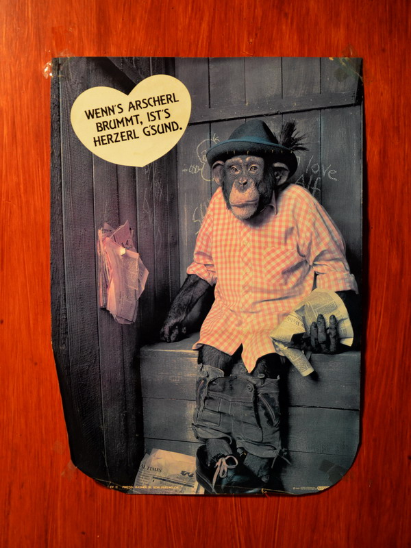 Если попка говорит...