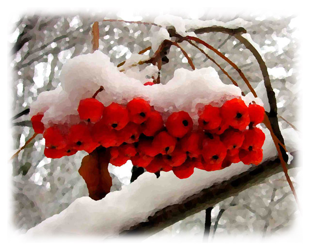 Любовь и времена года. Стихи-41