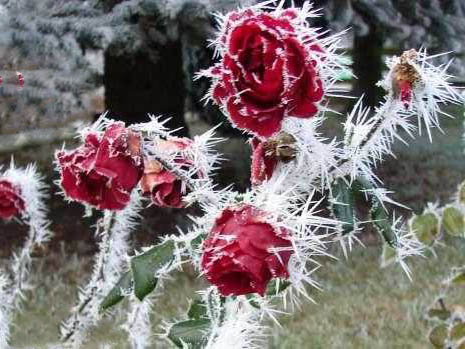 Татьянин день