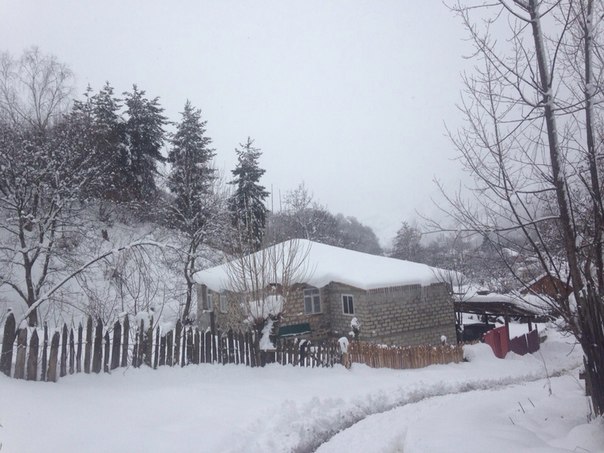 Мой Иристон