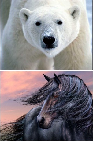 Голосование. Двойная дуэль. Менестрели. Зимние игр