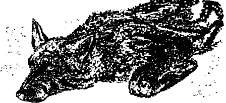 Сытый голодному не товарищ