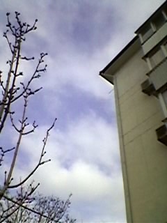 Конец января