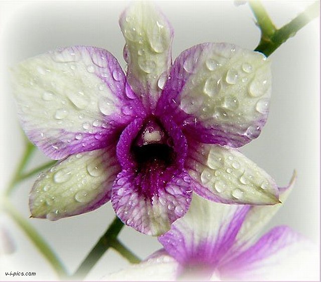 Послание высшее Я! 2014