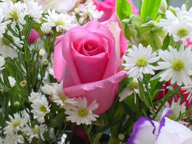 Послание! 2014