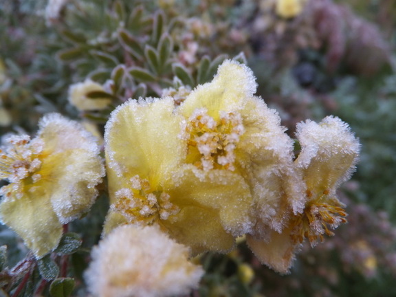 Привыкаем к холодам