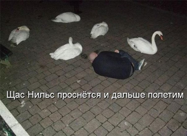 Благая Весть