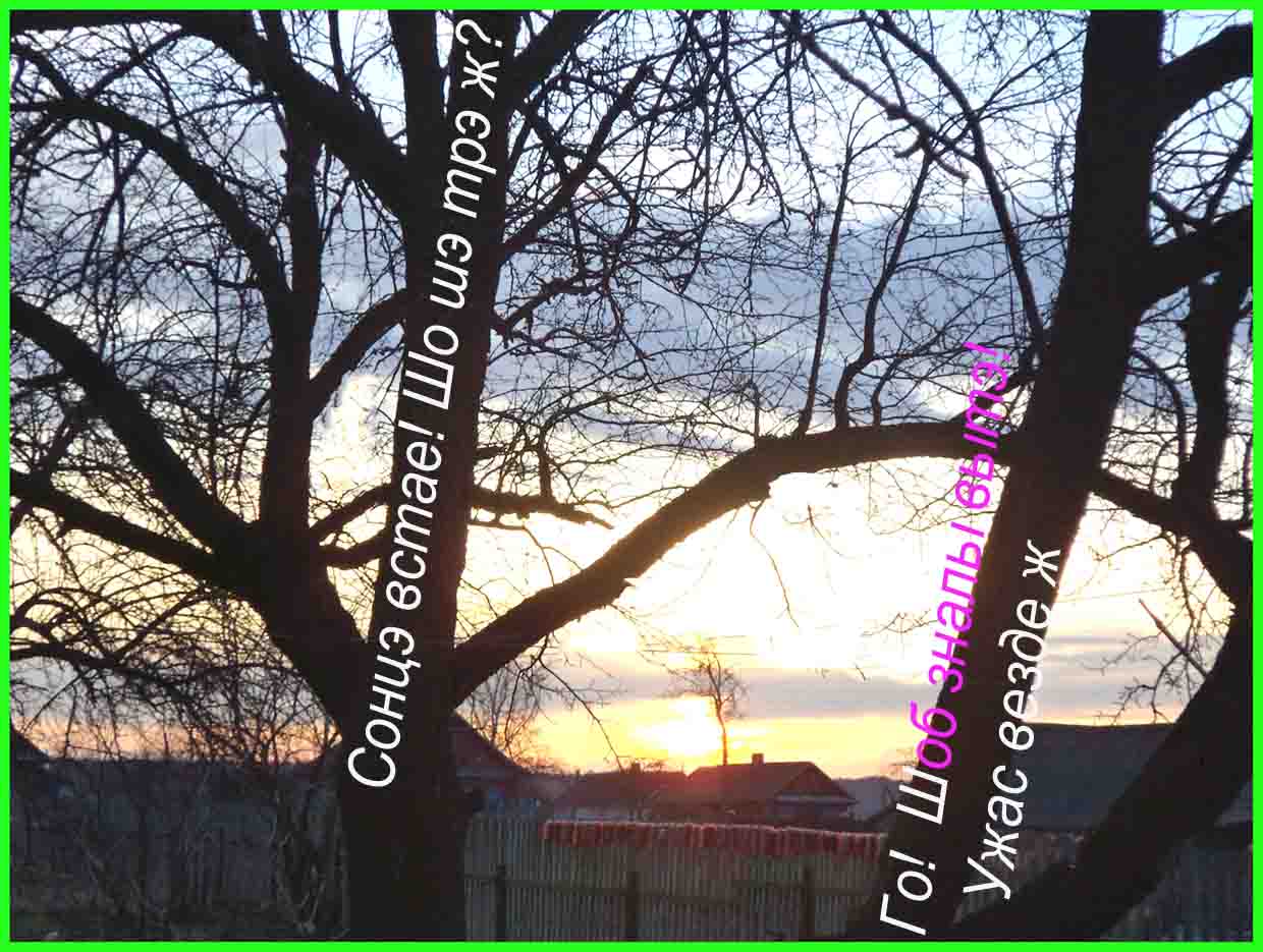 ТутТанинаКиткаейвсинцях