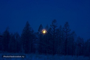 Зловещий кураж