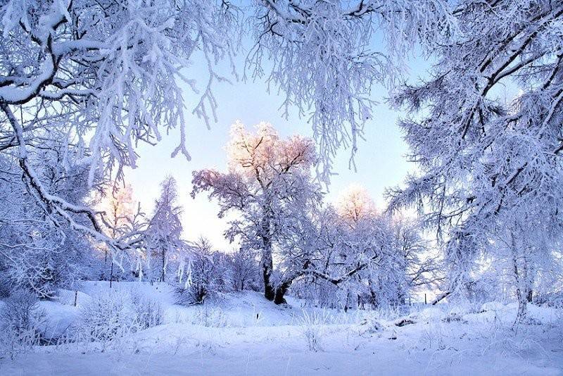 Февраль
