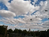 После Девяностых