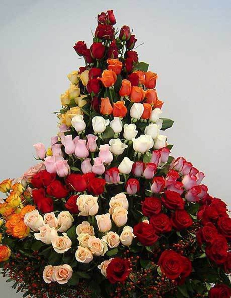 Владыка наш