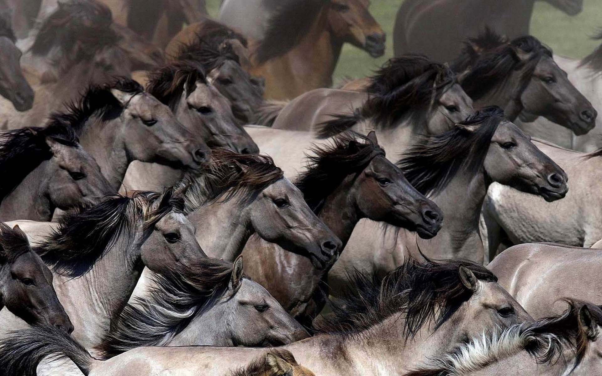 Чья-то добрая рука