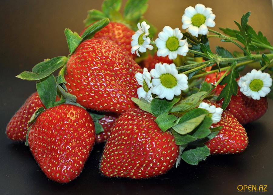 Всё имеет лица