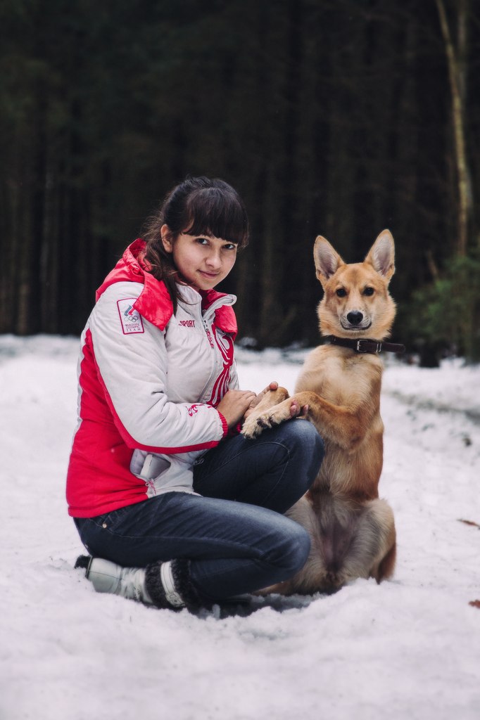 Щенок по имени - Лакки