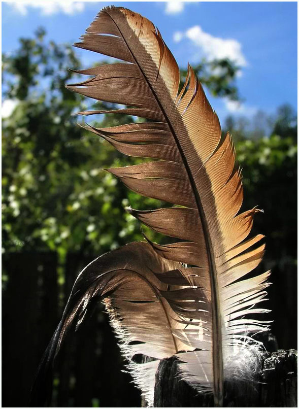 призываю поэтов