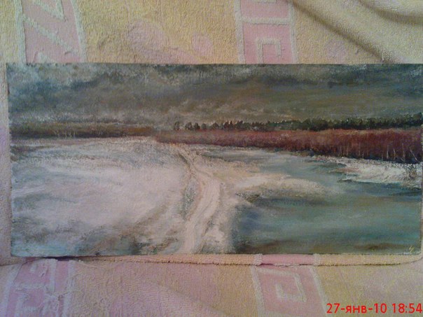 На лыжне по льду озера, в которое окунался 19. 01