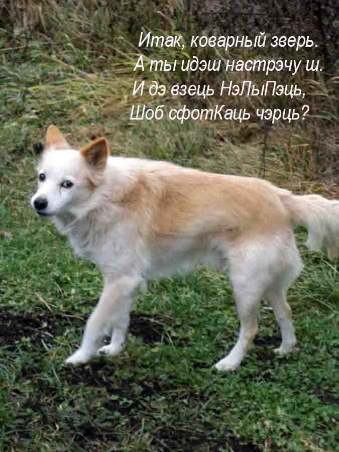 Наконец-то я щось посьцирал!