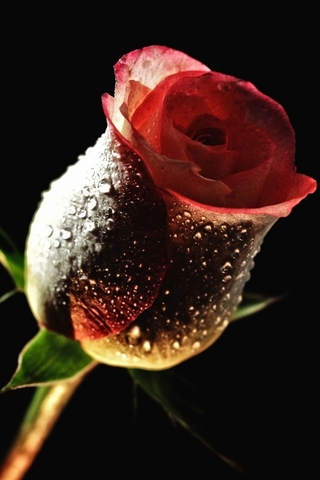 Когда умру...