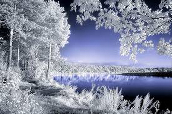 Всему свой срок