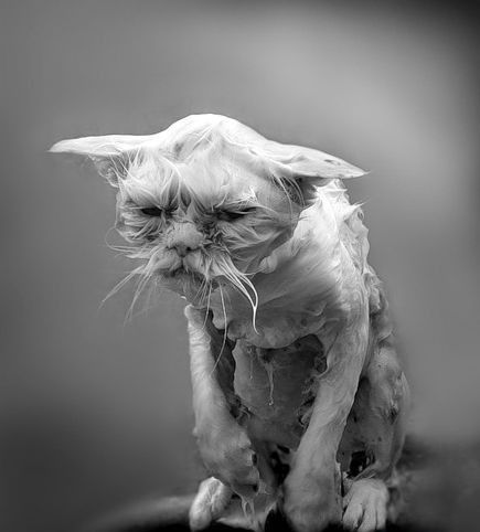 Жизнь в общаге