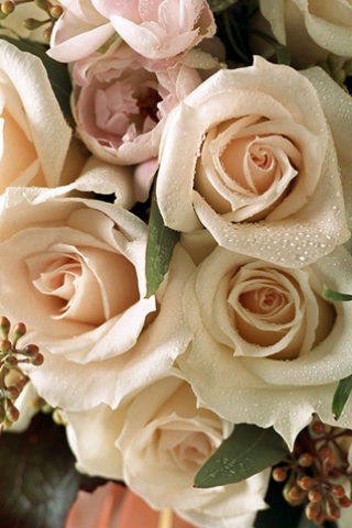 Белоснежная любовь