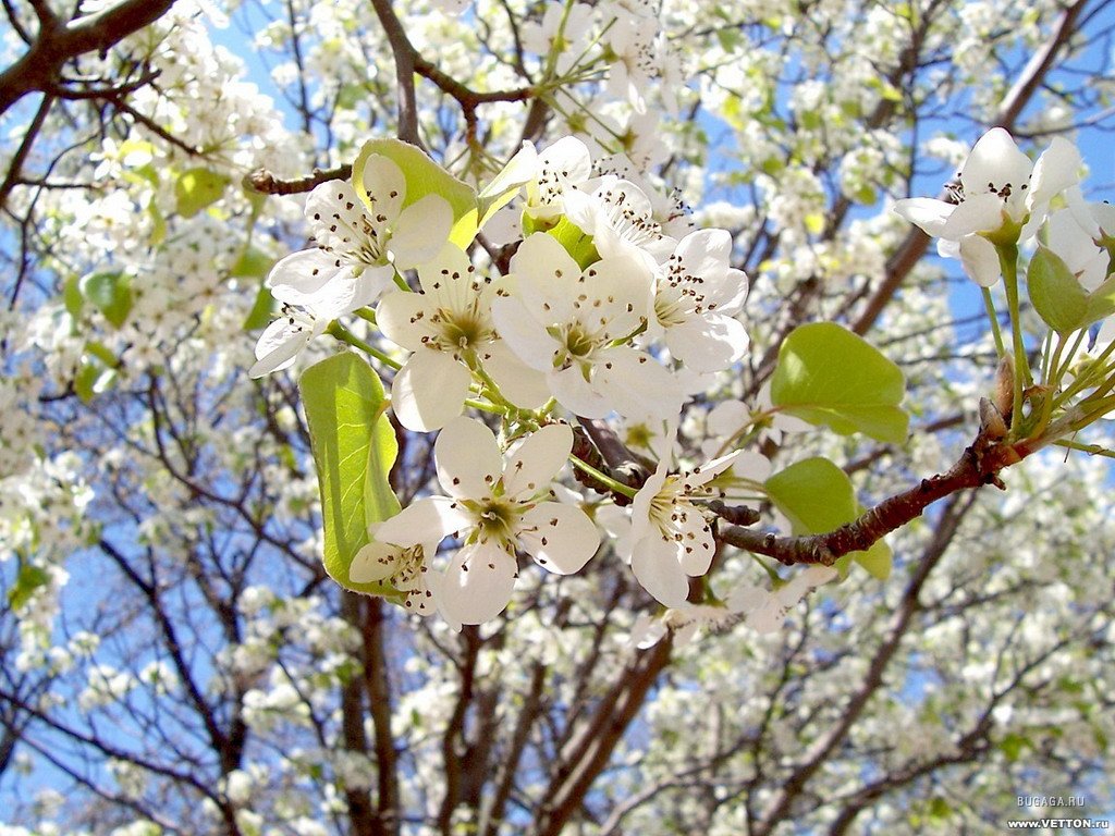 Как же я хочу весны!