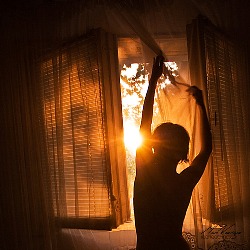 Дай мне, хоть одну причину любить...