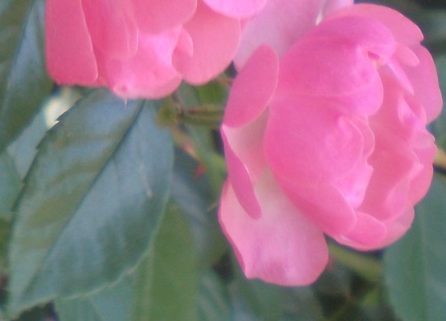 Мечтая (Елена Анатольевна Ландина) / Стихи.ру