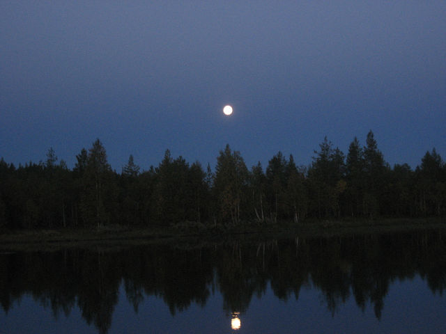 не скучая-скучаю!