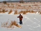 Зимняя муза