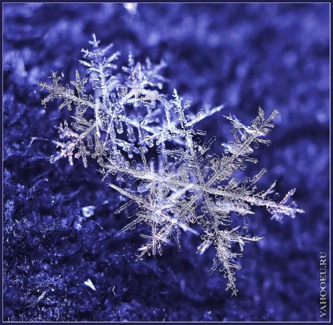 Пусть дольше танцуют снежинки!