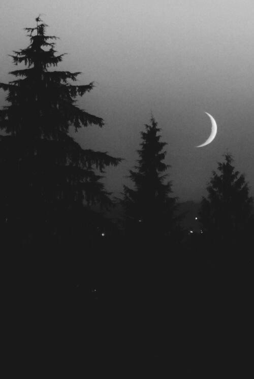 я буду умирать в тиши