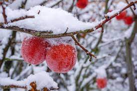 Мои раздумья,..