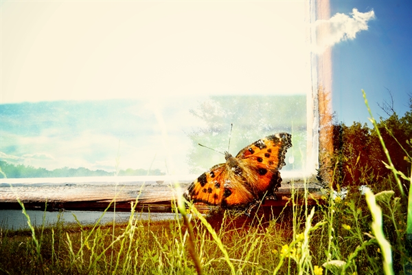 Где-то в небе..