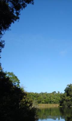 Не нужно красить небо в мрачный цвет