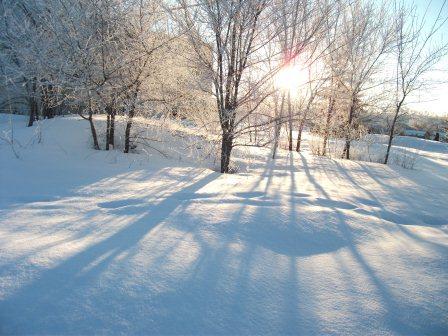 зимнее утро